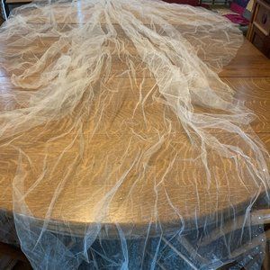BRAND NEW Long veil with rhinestones
